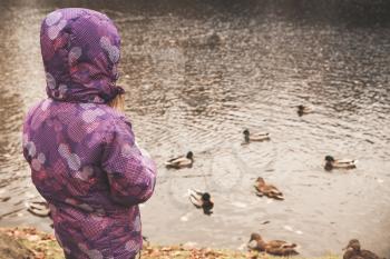 Girl in warm clothes feeds ducks on a pond coast in public autumn park