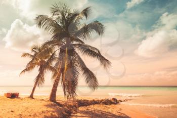 Coconut palms and old pleasure boat are on white sandy beach. Caribbean Sea, Dominican republic landscape, Saona island. Tonal correction filter effect