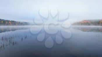 Still lake autumn panoramic landscape in cold foggy morning