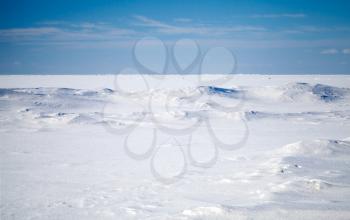 Empty winter landscape. Deep blue sky and snow on frozen Baltic Sea