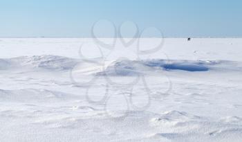 Winter landscape. Deep blue sky and snow on frozen Baltic Sea with people walking on ice