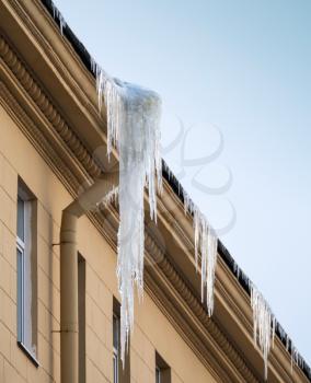 Danger big icicle hanging on drainpipe