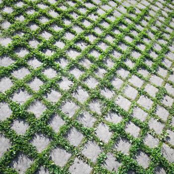 Abstract ecological background texture. Grass grows through  the road paving