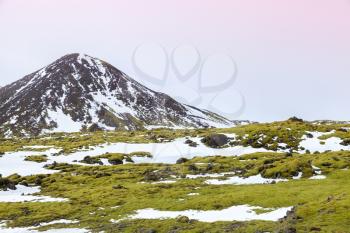 Spring Icelandic landscape with green moss growing on rocks and snowy mountains on horizon, South coast of Iceland