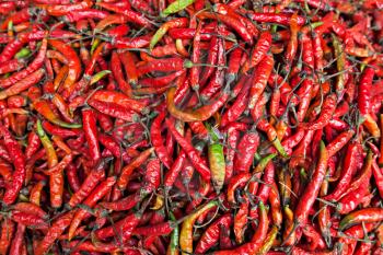 Heap of red chili pepper as a natural background