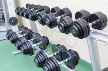 Dumb-bells on the stand in the gym in a row