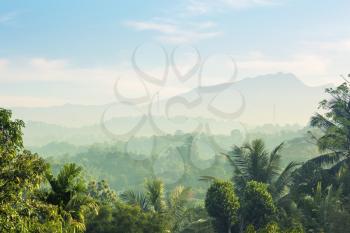 Scenic green mountains anb jungles, Ceylon. Landscape of Sri Lanka