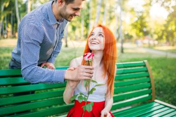 Man gives woman flower, romantic date of couple on a bench in summer park