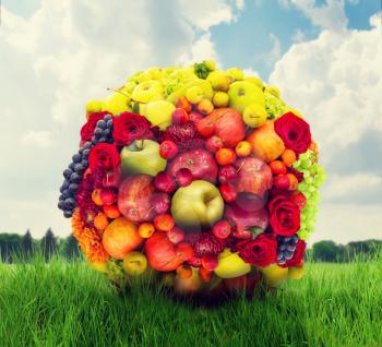 Fruit and flower ball, colorful fresh composition, green meadow on background 