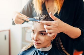 Female stylist runs the comb, woman in hairdressing salon. Hairstyle making in beauty studio