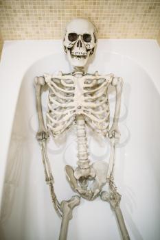 Funny human skeleton is lying in bath without water. Humor or joke concept