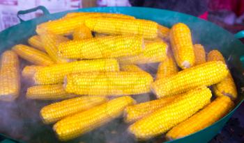 Steamed corn cobs cooking, dining room. Hotel cuisine, traditional european food, smorgasbord
