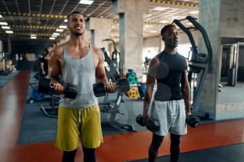 Two muscular men doing exercise with dumbbell on training in gym. Workout in sport club, healthy lifestyle