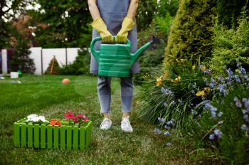 Woman in apron and gloves holds watering can in the garden. Female gardener takes care of plants outdoor, gardening hobby, florist lifestyle and leisure