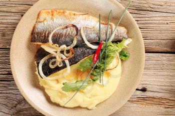 Pan fried trout with mashed potato - overhead