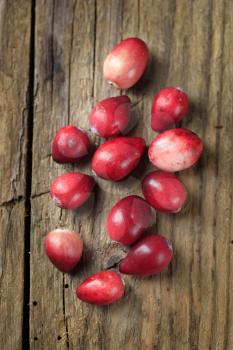 Fresh ripe cranberries on wood 