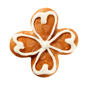 Gingerbread cookie decorated with sugar icing - studio 