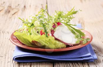 Fresh salad greens and slices of kohlrabi