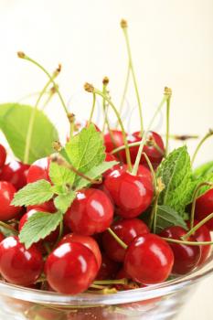 Bowl of freshly picked red cherries - detail