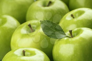 Fresh green apples with glossy skin  
