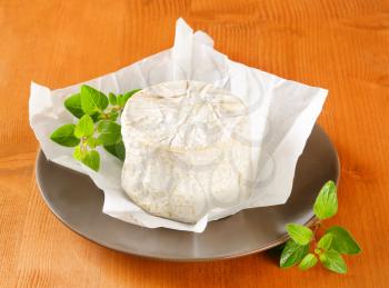 French soft cheese with white Penicillium candidum rind