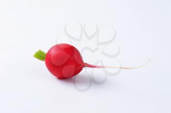Fresh red radish on white background