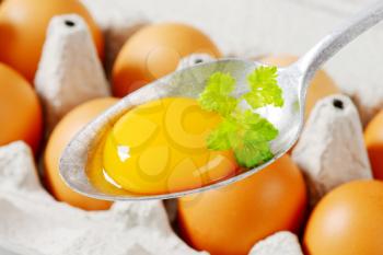 Raw egg yolk on spoon, egg carton in the background
