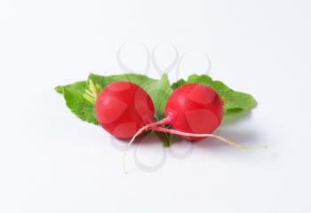 Two fresh red radishes on white background