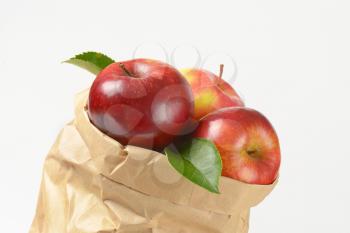 close up of ripe apples in paper bag