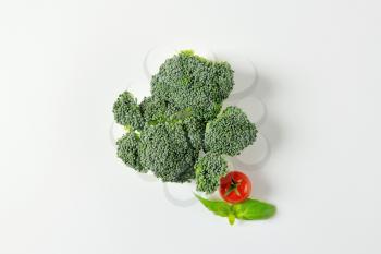 Fresh broccoli on off-white background