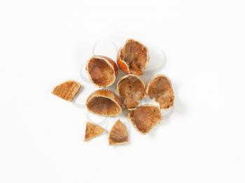 empty hazelnut shells on white background