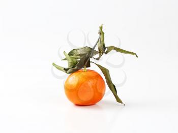 fresh clementine with leaves on white background