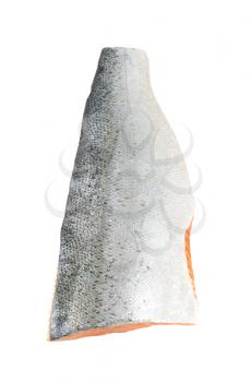 raw salmon fillet with skin on white background