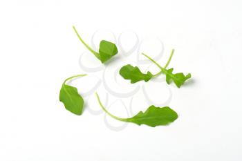 fresh arugula leaves on white background