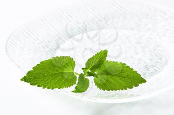 Fresh mint leaves on a glass plate