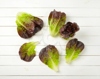 heads and leaves of fresh lettuce on white wooden background