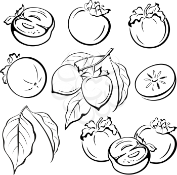 Set Persimmon Fruits and Leaves Black Pictograms Icons Isolated on White Background. Vector