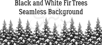 Christmas Holiday Seamless Horizontal Background, Winter Landscape, Fir Trees with Snow, Black and Grey Silhouettes Isolated on White Background. Vector