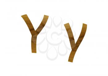 One letter from teak veneer alphabet: the letter Y