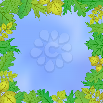 Vector, framework from leaves of various plants and blue sky