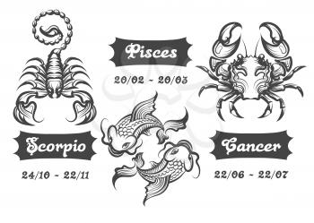 Set of Water Zodiac signs. Scorpion, Fishes and Cancer drawn in engraving style. Vector illustration.