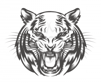 Roaring Tiger head drawn in tattoo style isolated on white. Vector illustration 