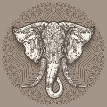 Stylized elephant head art on mandala background. Vector illustration.