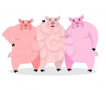 3 pigs. Three piglets. Funny farm animals. Good character from fairy tale. Thick pink beast. Lovely boar
