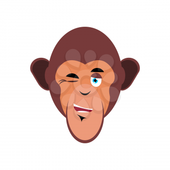 Monkey winking Emoji. marmoset merry emotion isolated. Chimpanzee face
