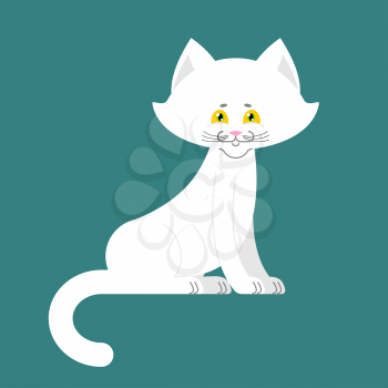 White Cat isolated. cute kitten is sitting. Pet
