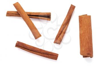 cinnamon stick spices isolated on white background
