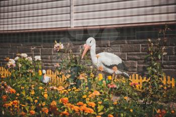 The stork in a kitchen garden costs in flowers.