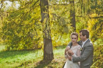 Autumn photos of the newlyweds in the Sunny forest.