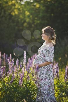 Portrait of a full-length girl on the background of Lupins field.